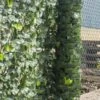 Woodside Artificial Faux Ivy Leaf Garden Fence/Wall Privacy Screening Hedge -ALA Garden Shop 0IDTNOF1GN4