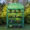 Woodside Large 4 Tier Garden Greenhouse/Growhouse With Reinforced Cover 2 Woodside Large 4 Tier Garden Greenhouse/Growhouse With Reinforced Cover -ALA Garden Shop 3FLNVCG3PZP
