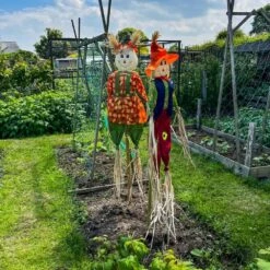 Woodside Garden Scarecrows, Crop & Allotment Bird/Pest Deterrent, Pack Of 2 -ALA Garden Shop AISNY0RLEXJ