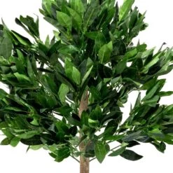 Woodside Artificial Topiary Bay Leaf Tree 4ft Indoor Outdoor Plant (pack Of 2) 12 Woodside Artificial Topiary Bay Leaf Tree 4ft Indoor Outdoor Plant (pack Of 2) -ALA Garden Shop BMY25IKWGGH