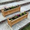 Woodside Aldeby Wooden Garden Trough Planter/Flower Container Box, Pack Of 2 1 Woodside Aldeby Wooden Garden Trough Planter/Flower Container Box, Pack Of 2 -ALA Garden Shop EMVFVY5SOEU