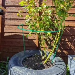 Woodside Steel Garden Plant Support Stakes, Half Round Flower Guard Cage (10 Pack) -ALA Garden Shop FA2SEF5Z0WY