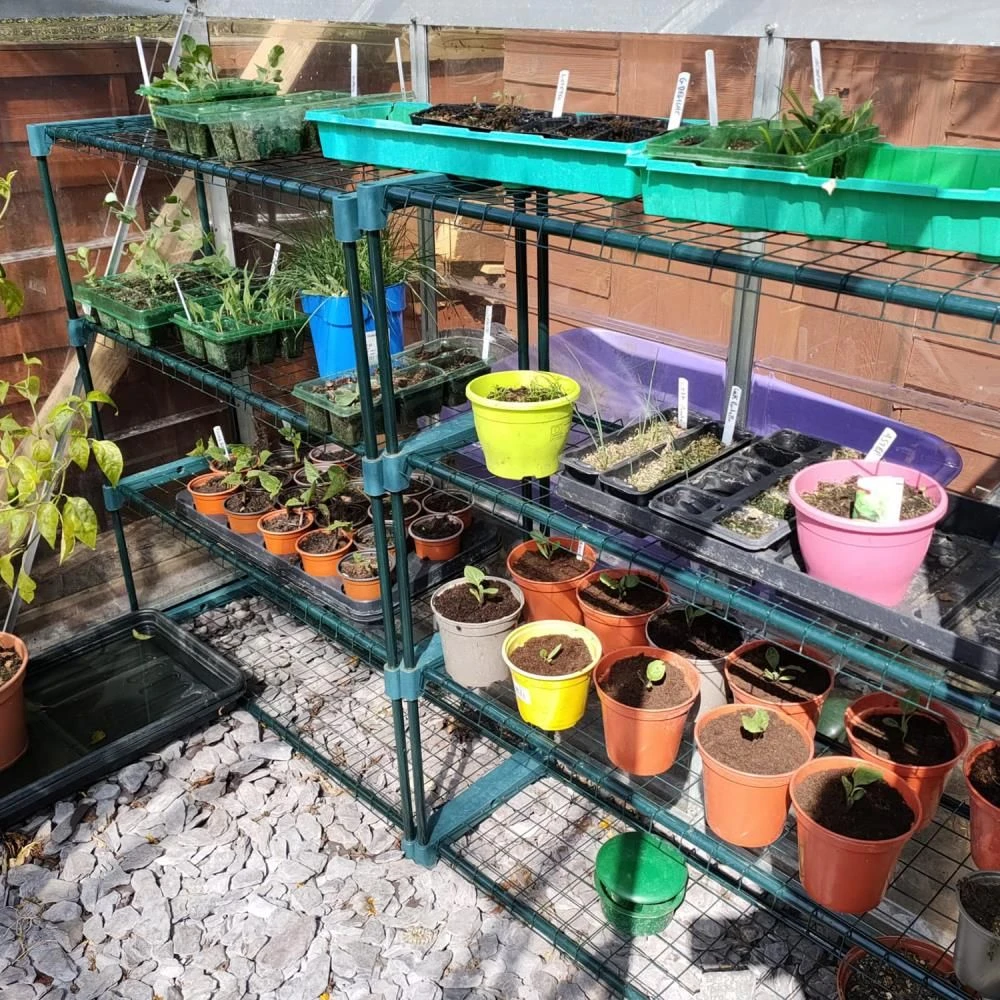 Woodside Greenhouse Shelving 2 Pack 4 Woodside Greenhouse Shelving 2 Pack - Image 2