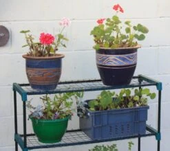 Woodside Greenhouse Shelving 2 Pack 12 Woodside Greenhouse Shelving 2 Pack -ALA Garden Shop NTSHBAZSG4B