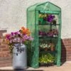 Woodside 4 Tier Garden Greenhouse/Growhouse With Reinforced Cover -ALA Garden Shop PZT2JSLD3WH