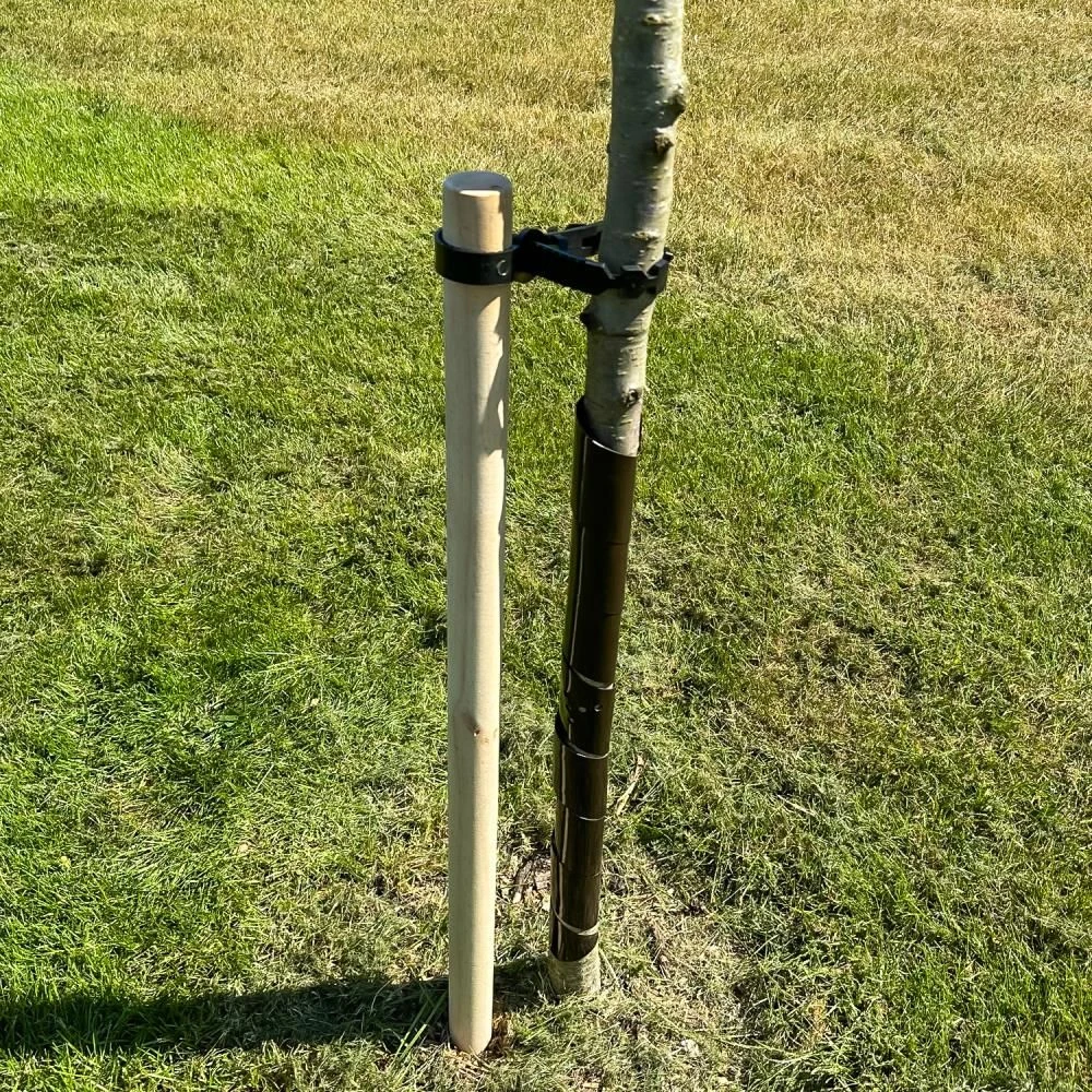 Woodside Garden Tree Sapling Support Stake Pack With Tie & Sleeve 5 Woodside Garden Tree Sapling Support Stake Pack With Tie & Sleeve - Image 3
