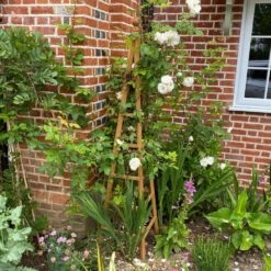 Woodside Wooden Garden Obelisk Pyramid Plant Support Trellis Climbing Frame -ALA Garden Shop X1AJWXYTNCO